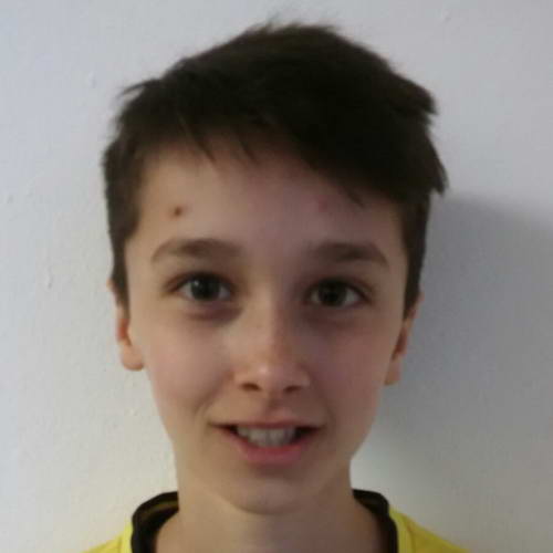 Simon Strasser