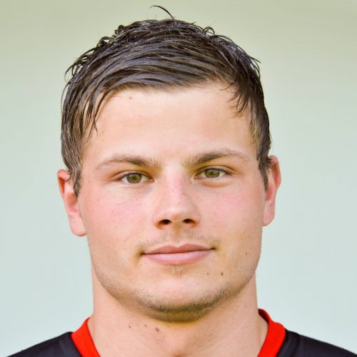 Fabian Halmdienst