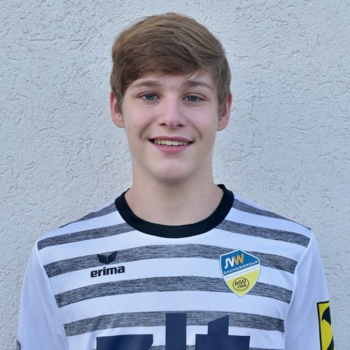 Michael Baumgartner